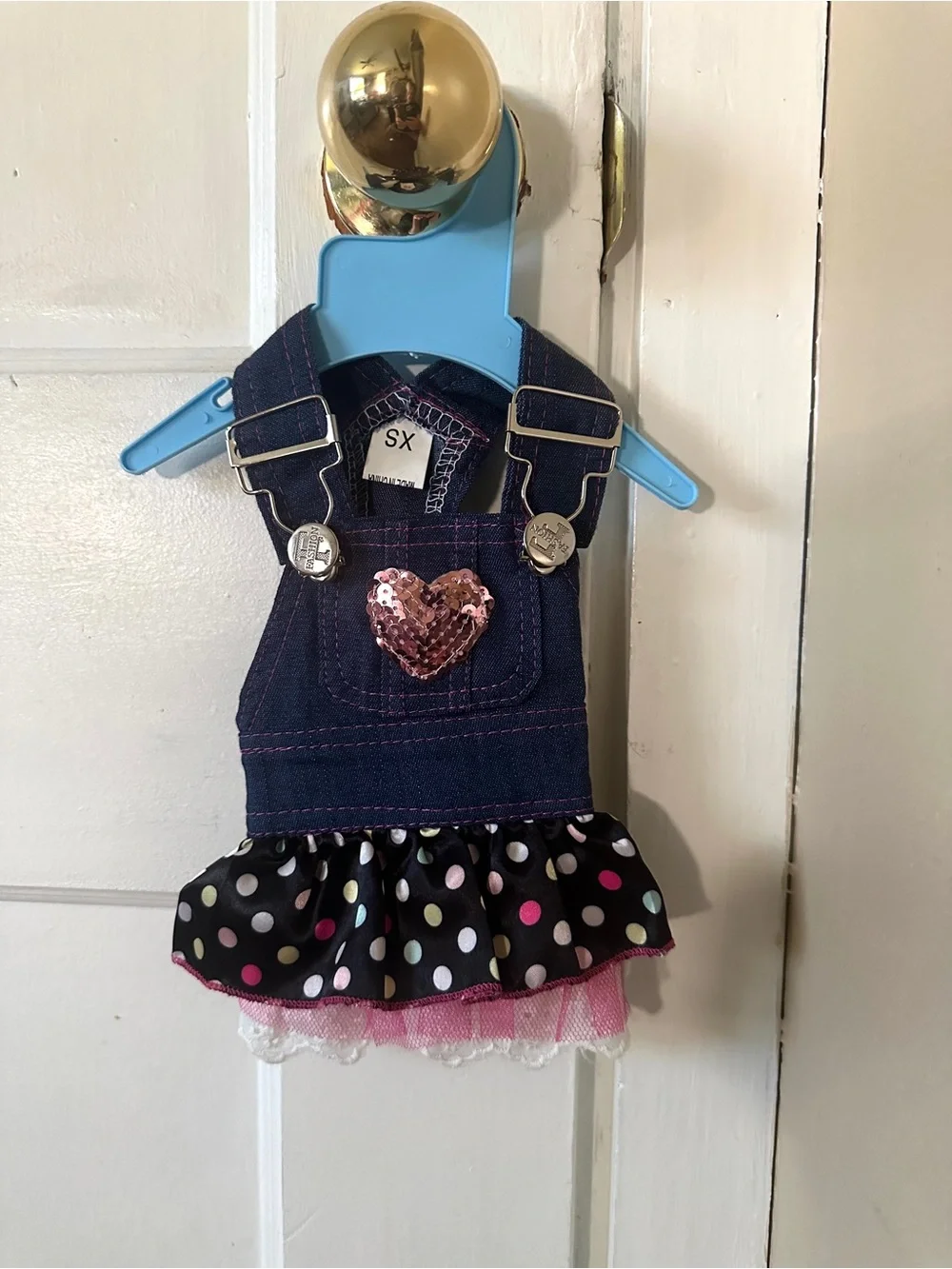 Girl, dog dress extra small